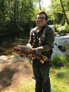 A single rainbow trout caught in Cotter