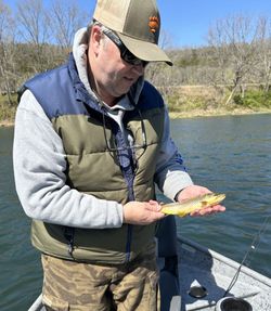 A person fishing in Cotter