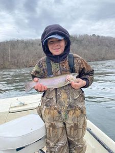 Single rainbow trout caught in AR