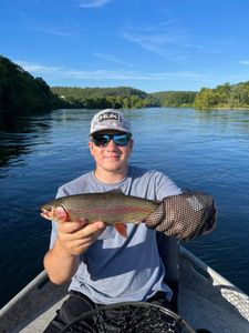 A single rainbow trout caught in AR