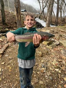Rainbow trout caught while fishing in AR