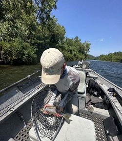 Scenic view of Cotter