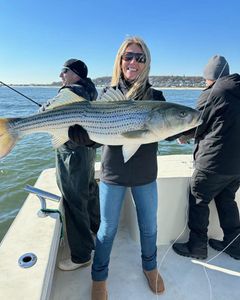 Striped Bass caught fishing in NJ