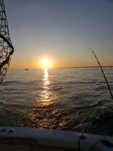 Fishing in the Highlands