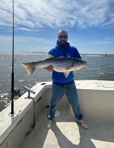 Striped bass caught at Highlands location