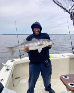 Striped bass caught in Highlands
