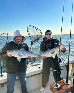 Two striped bass caught in Highlands