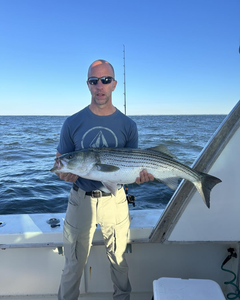 Striped bass caught while fishing in NJ