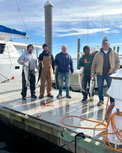 Four striped bass caught in Highlands while fishing
