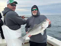 Striped bass caught in NJ