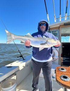 Striped bass caught while fishing in NJ