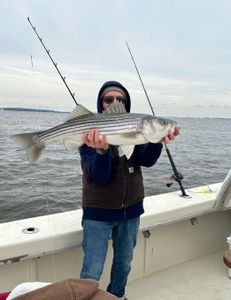 Striped bass caught while fishing in NJ