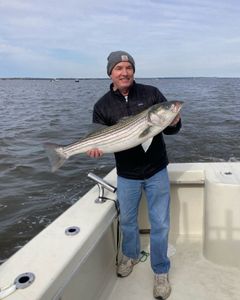 Striped bass caught in NJ