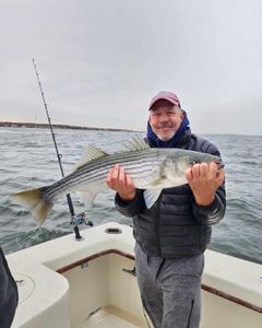Striped bass caught in Highlands