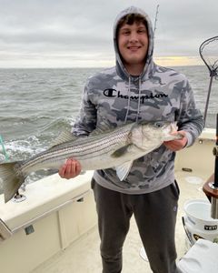 Striped bass caught in Highlands