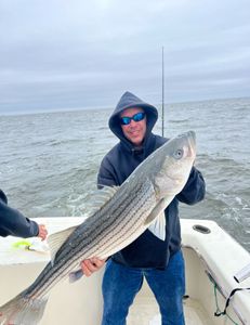 Striped bass caught in Highlands