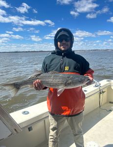 Striped bass caught in the Highlands