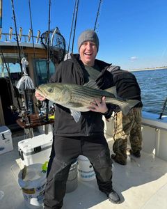 Striped bass caught during fishing trip in Highlands