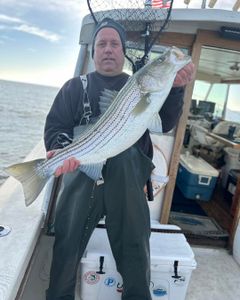 Striped Bass caught in Highlands