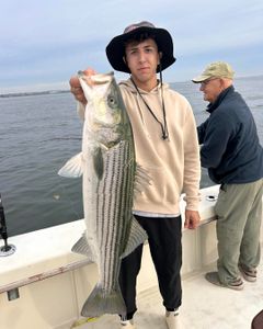 Striped bass caught in Highlands