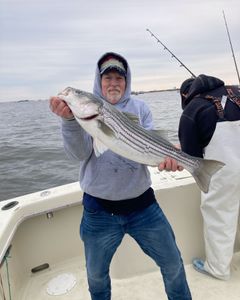 Striped bass caught by a person in the Highlands