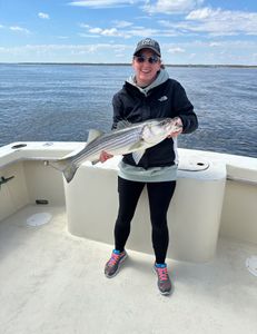 Striped bass caught in the Highlands