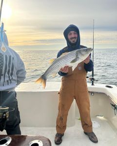 Striped bass caught in NJ