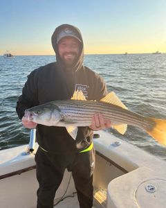 Striped bass caught in NJ