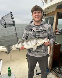 Striped bass caught while fishing in NJ