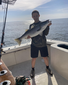 Striped bass caught while fishing in NJ