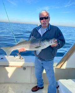 Striped bass caught while fishing in NJ