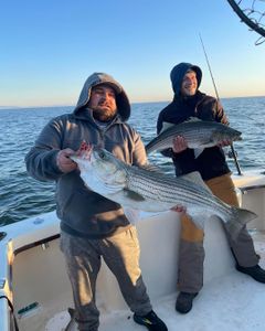 Two striped bass caught in NJ