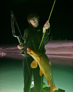 Top-tier Bowfishing in AZ!
