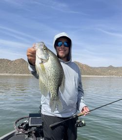Arizona fishing trips