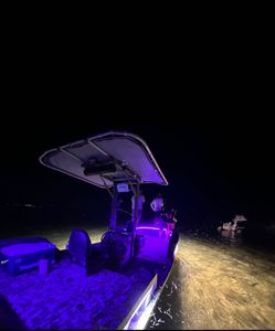 Fishing and hunting in AZ