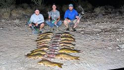Four big grass carp and common carp caught while fishing in Scottsdale
