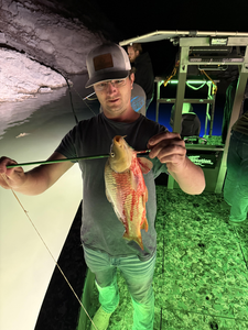 Caught a big one in this peculiar fishing spot!
