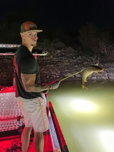 Angler fishing in AZ with a great catch