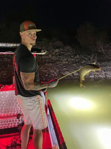 Thrilling bowfishing in Arizona! Great experience!