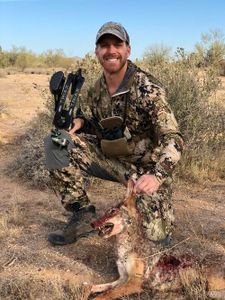 Hunting for Coyote in Arizona