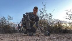 Exciting Coyote Hunting in Arizona