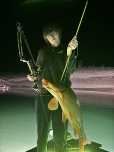 Hooking a hefty carp under the stars.