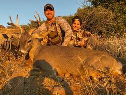 Deer Hunting In Scottsdale, AZ