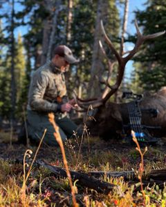 Scenic view of Scottsdale landscape