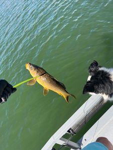 A fishing trip in the beautiful Scottsdale landscape