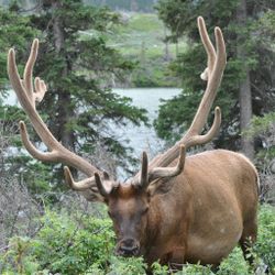 Scottsdale outdoor adventure with fishing and hunting