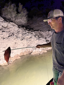 A serene night of fishing in the desert.