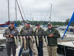 Image of 7 bull trout and bluefish caught while fishing in MN