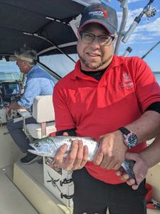 Best great fishing at Knife River