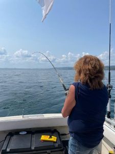 Scenic view of Knife River